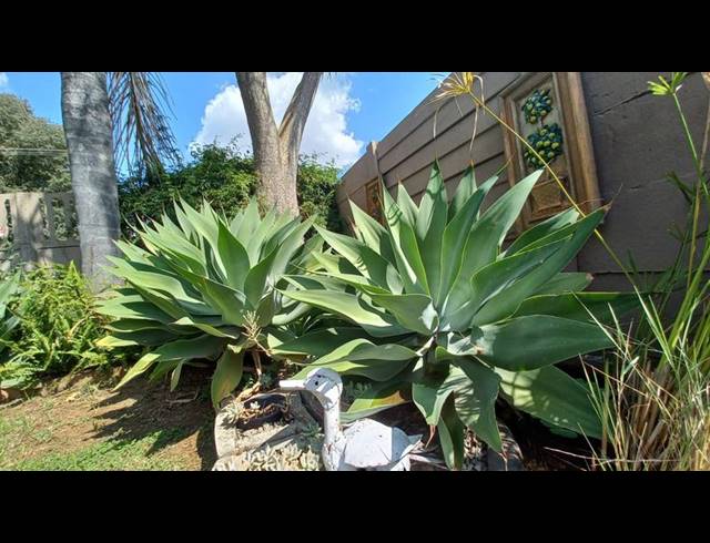 3 BEDROOM HOUSE FOR SALE IN DASPOORT